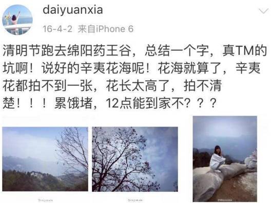 阳3处辛夷花观赏点去过的竟说坑?冰球突破豪华版app深扒四川绵(图6) 阳3处辛夷花观赏点去过的竟说坑?冰球突破豪华版app深扒四川绵(图6)