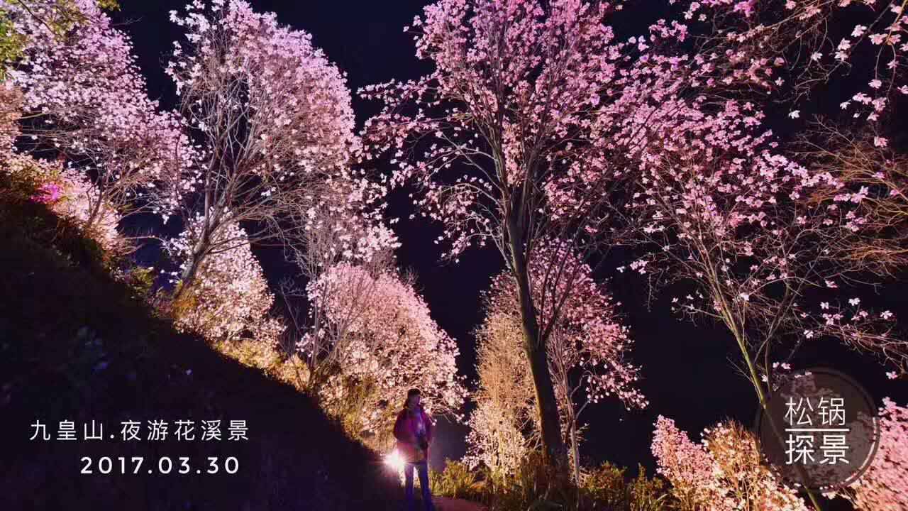 阳3处辛夷花观赏点去过的竟说坑?冰球突破豪华版app深扒四川绵(图11) 阳3处辛夷花观赏点去过的竟说坑?冰球突破豪华版app深扒四川绵(图11)