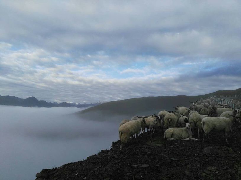 中国】达瓦更扎看云海冰球突破技巧【大美(图2)