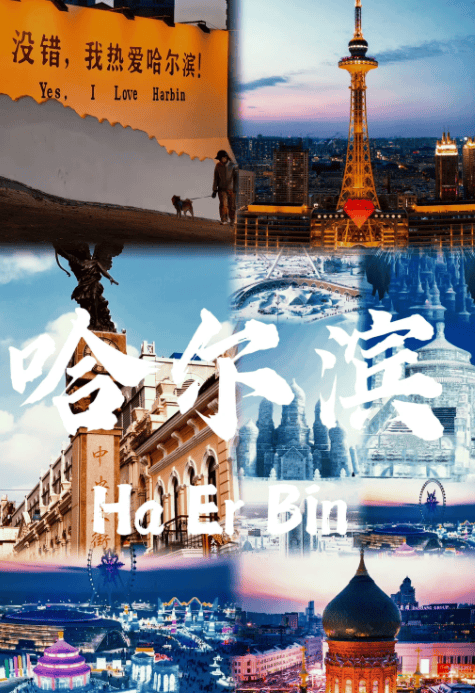 正规旅行社排行榜 口碑前十权威揭晓冰球突破豪华版app2025哈尔滨(图3)