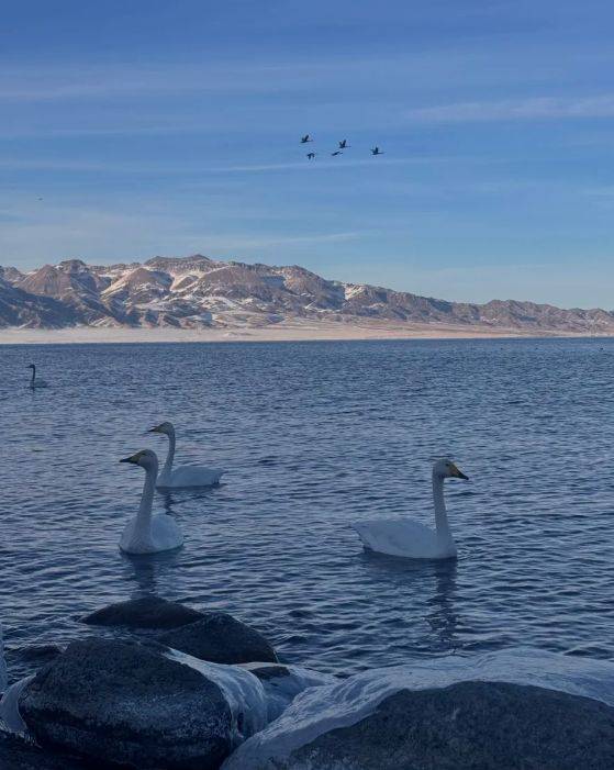 胜游领衔2025新疆高信誉旅行社TOP10冰球突破游戏网站5000+游客亲测揭晓：远(图4)